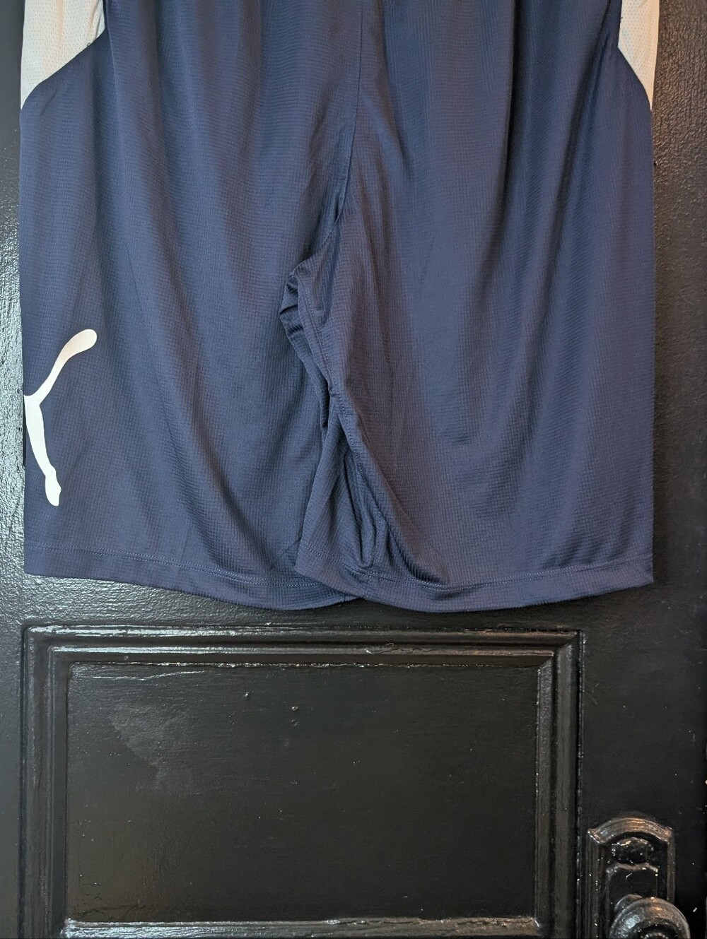 PUMA Shorts Men's dry cell BRAND NEW - Picture 7 of 13